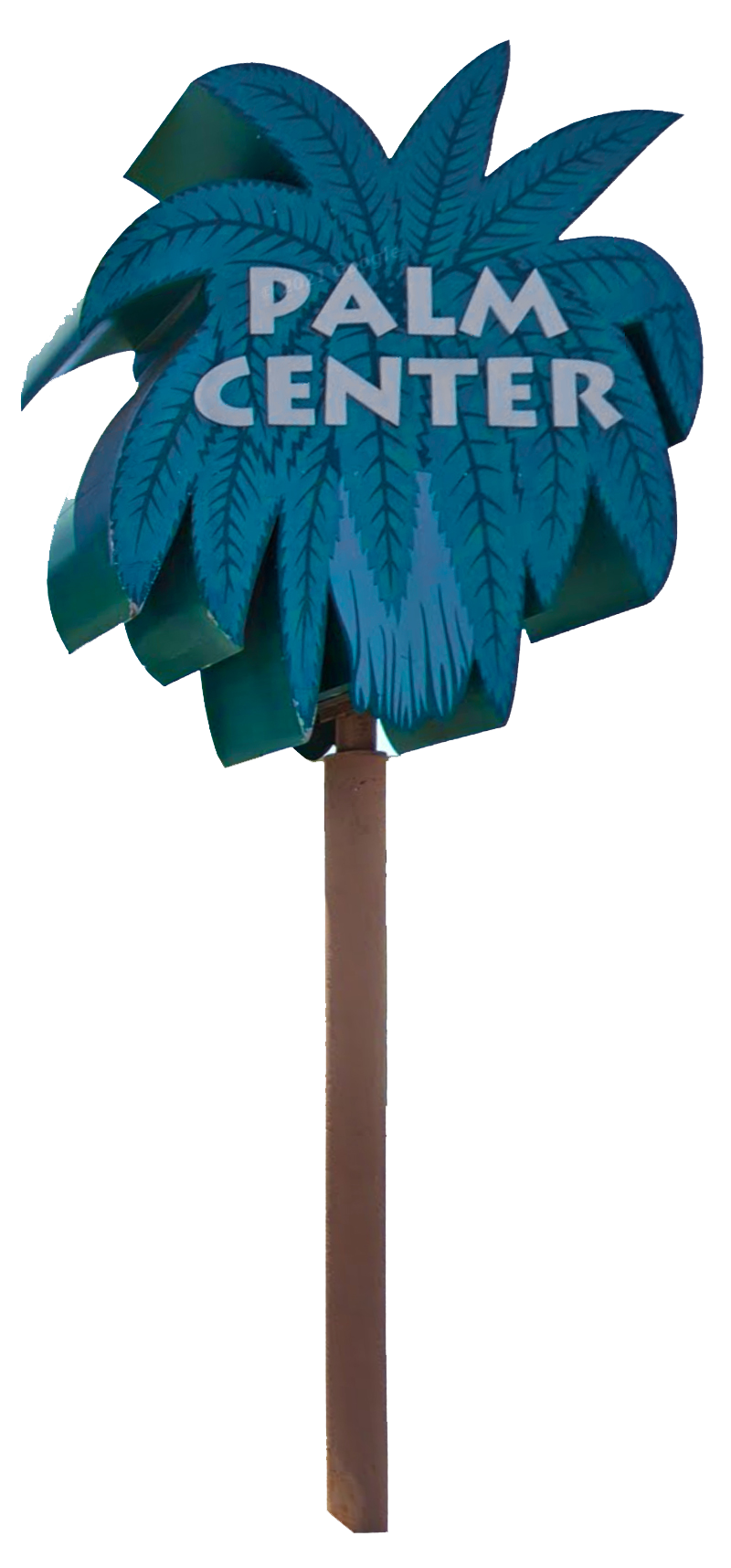 palm-center-tree
